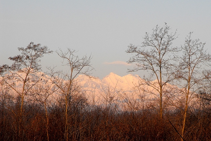 Alps from Castano Primo